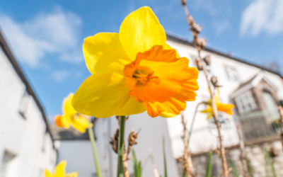 Spring Checklist For Your Home