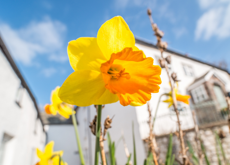 Spring Checklist For Your Home