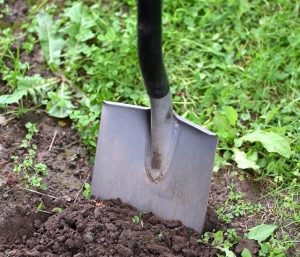 spade dug into soil