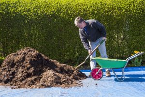 Shoveling mulch