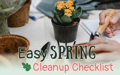 Spring Cleanup Checklist for your Garden or Yard