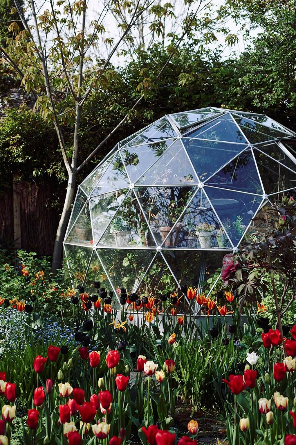 Geodesic greenhouse in city garden