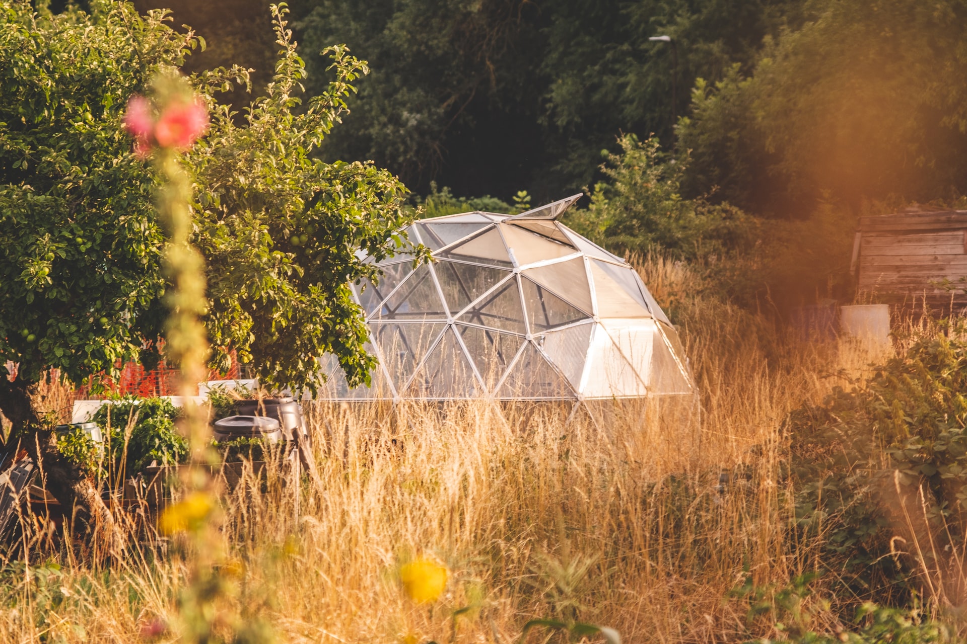 geodesic greenhouse