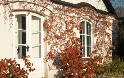 Home maintenance tasks to do this Autumn!