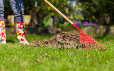 New Year, New Garden! By Woody’s Garden Services