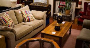 vintage furniture including a sofa, an armchair, a coffee table, a chest with plants on top, arrange into a cosy living room
